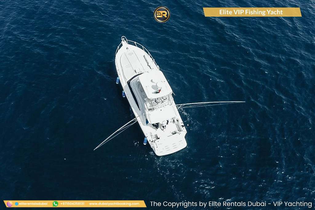 Elite VIP Fishing Yacht - Photo 2